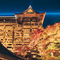 ライトアップされた清水寺本堂の舞台と楽舎の秋夜景の写真