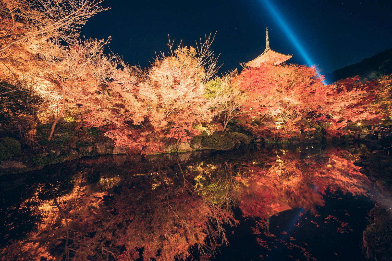 清水寺の三重塔と紅葉がライトアップされ水面にリフレクションする夜景