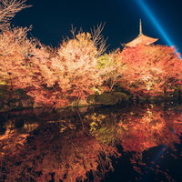 清水寺の三重塔と紅葉のライトアップリフレクションの写真