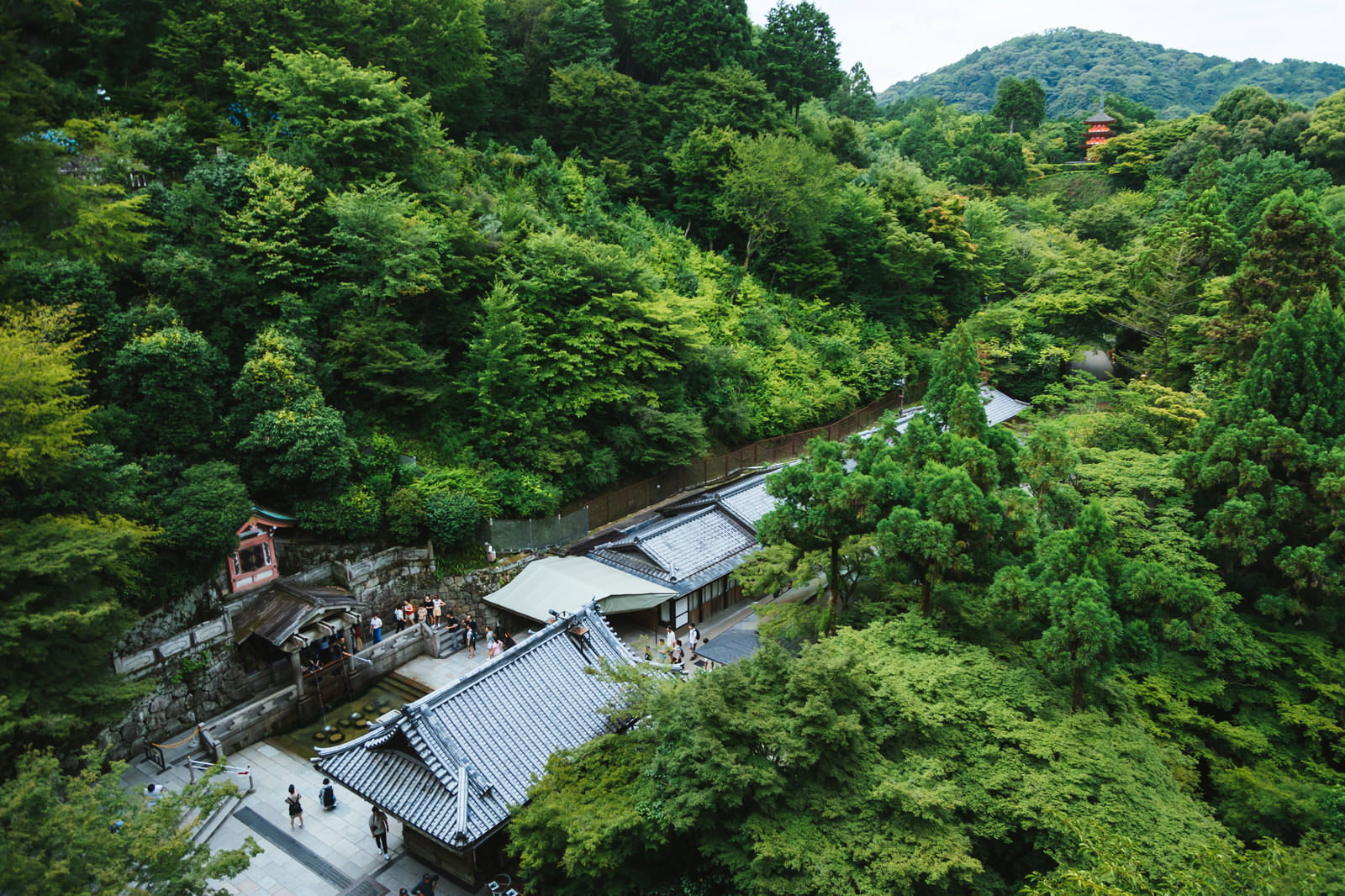 清水の舞台から音羽の滝を見下ろした新緑豊かな清水寺の風景