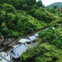 清水の舞台から見下ろす音羽の滝と新緑の清水寺の写真