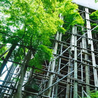 平成の大改修で工事中の清水寺本堂を囲む足場の写真
