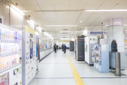 清澄白河駅の改札を出たすぐの駅構内通路と乗降客の流れ