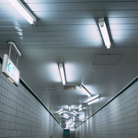 清澄白河の地下通路で無秩序に点灯する蛍光灯の写真