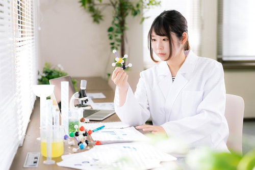 分子模型を手に取り、真剣な表情で観察する研究者の女性