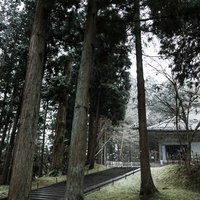 冬の雪景色に包まれた中尊寺金色堂と杉の木々の写真