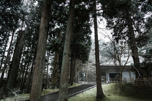 冬の雪景色に包まれた中尊寺金色堂と杉の木々