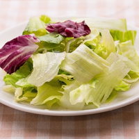 白い皿に盛られたみずみずしいサラダ、レタスと紫キャベツの写真
