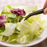 サラダを撮影しようとピンセットで紫レタスの葉をつかむの写真