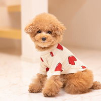 赤いハート模様のセーターを着たトイプードル子犬の写真