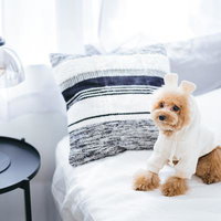 白いニット帽をかぶったトイプードルと犬の洋服の写真