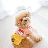 ピンク×黄色のペット服を着たトイプードルのわんこの日常の写真