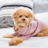 ピンクのパジャマ姿で白いベッドに寝転ぶトイプードルの写真