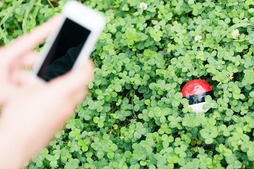 草むらに隠れている紅白ボールを発見、スマートフォンで撮影