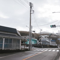 神津島にひとつしかない信号機と横断歩道、道路風景の写真