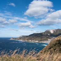 神津島のありま展望台から見る前浜海岸と金色のススキの写真