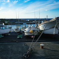神津島の漁港に停泊する複数の漁船と港湾風景の写真