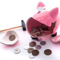 豚の貯金箱を叩き割ったら小銭しか入っていなかったの写真