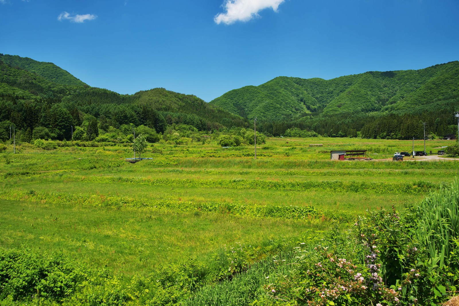 会津の里山に広がる緑の田畑と青空、山々の田園風景
