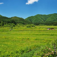 会津の里山風景に広がる緑の田畑と山々、農村風景の写真