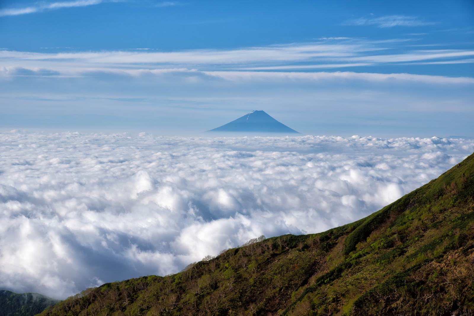雲海の向こうに浮かぶ富士山のシルエットと青空が広がる山岳風景
