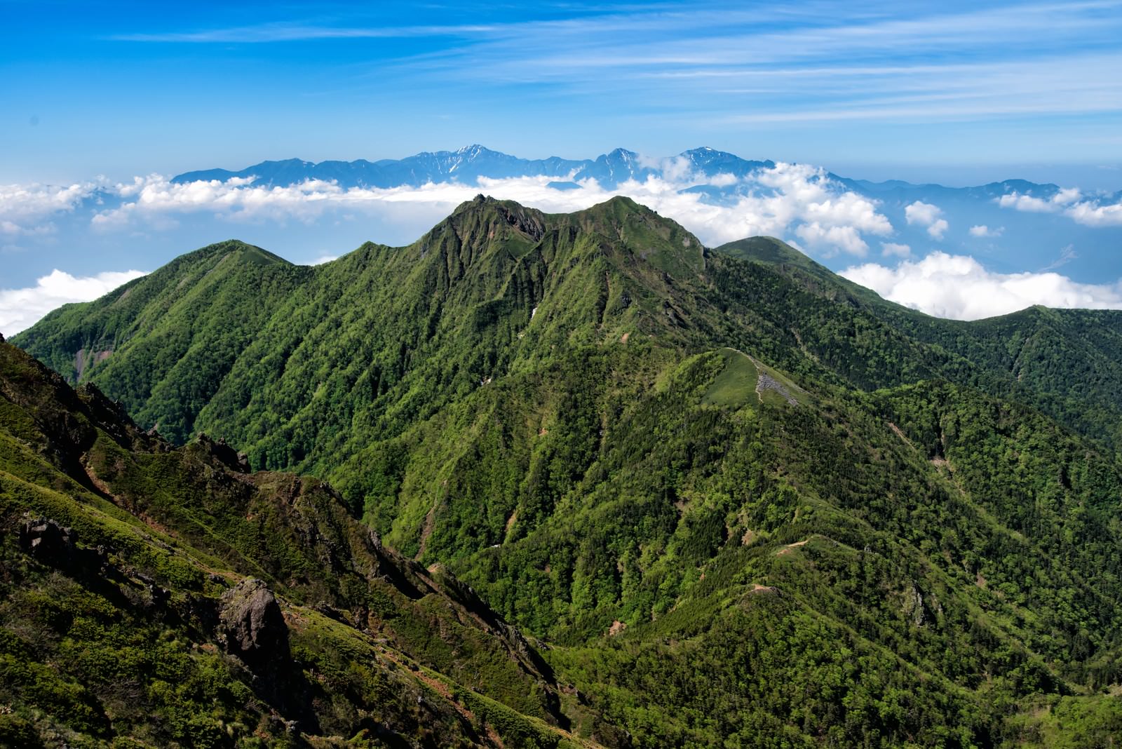 権現岳と南アルプスの山脈が連なる雄大な景観