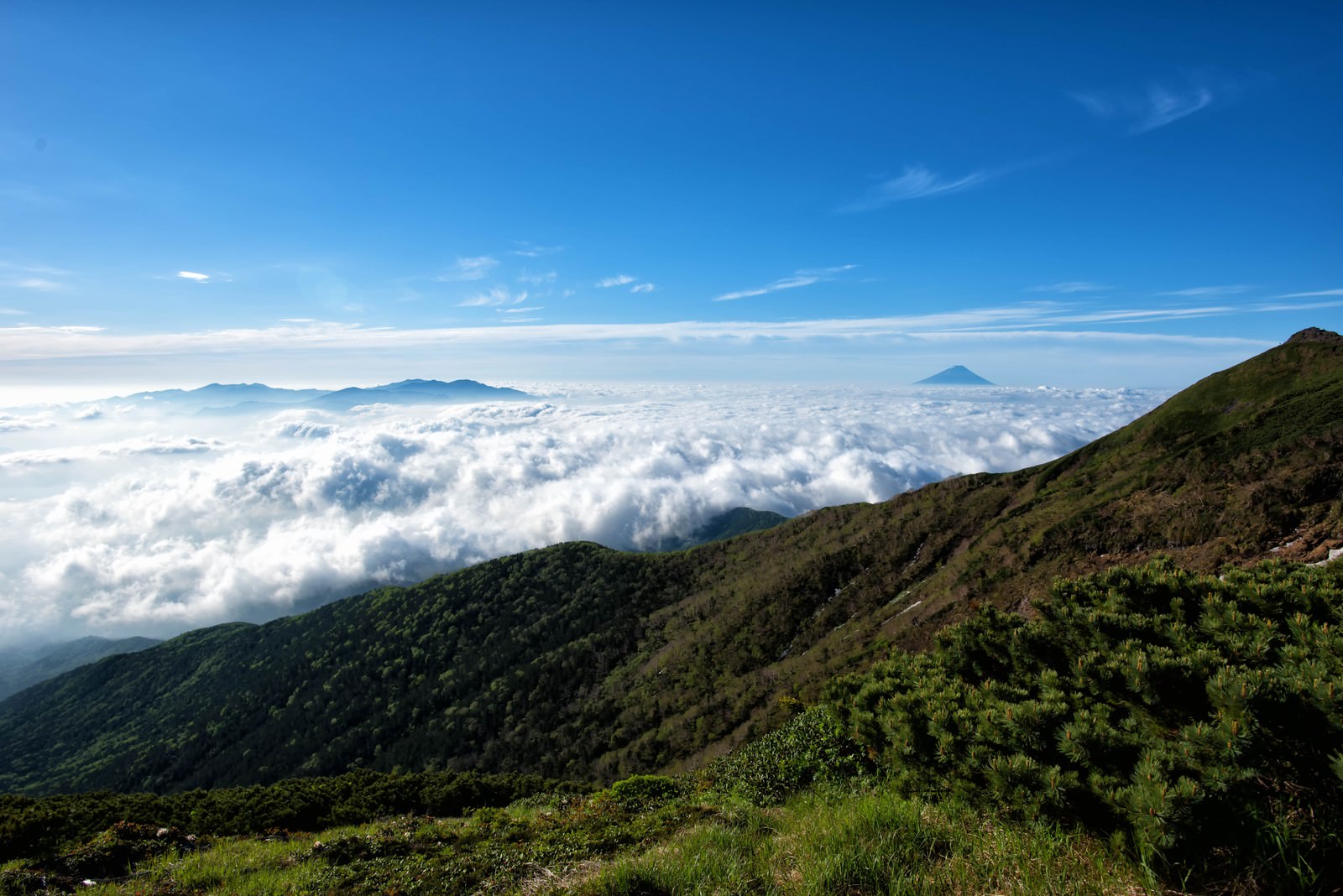 横岳の尾根から見下ろす雲海と青空、緑の山並みが広がる風景