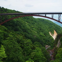 つばくろ谷の新緑に包まれた不動沢橋を渡る遊歩道の写真