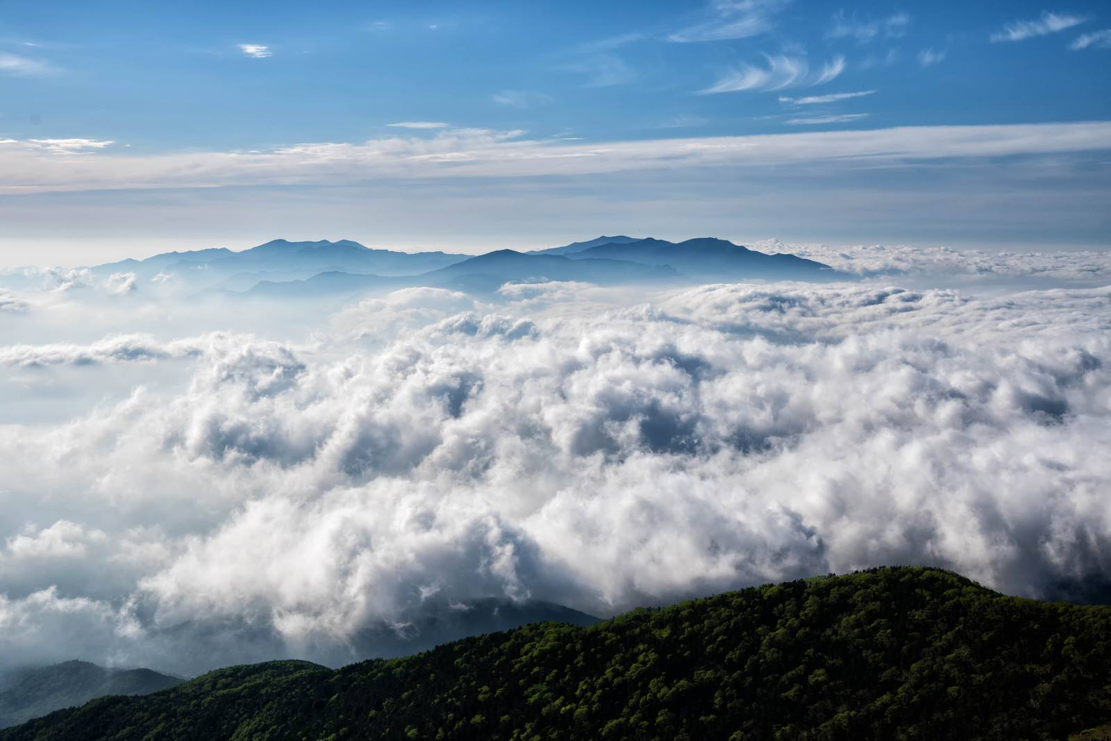 雲海に覆われた奥秩父の山々と青空が広がる風景