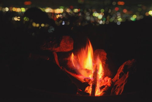 森の中の登山道と木漏れ日