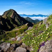 山頂標識と雲海が広がる稜線の山岳風景の写真