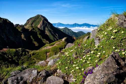山頂標識と雲海が広がる稜線の山岳風景