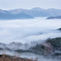 冬の箱根・白樺林と雪山の風景の写真