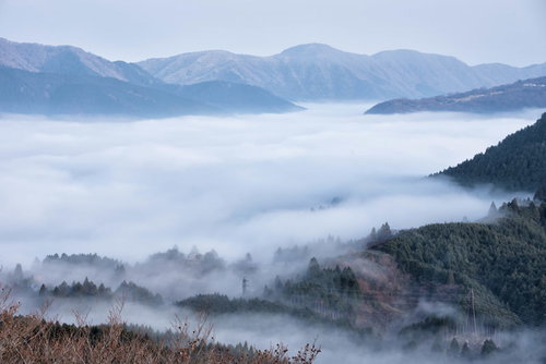 冬の箱根・白樺林と雪山の風景