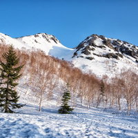 冬の北アルプス、雪山に包まれた焼岳の北峰と南峰の写真
