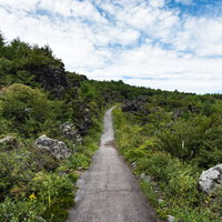 浅間山麓・浅間園の溶岩地帯を貫く遊歩道と周辺の自然景観の写真
