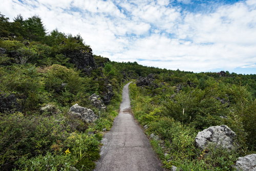 浅間山麓・浅間園の溶岩地帯を貫く遊歩道と周辺の自然景観