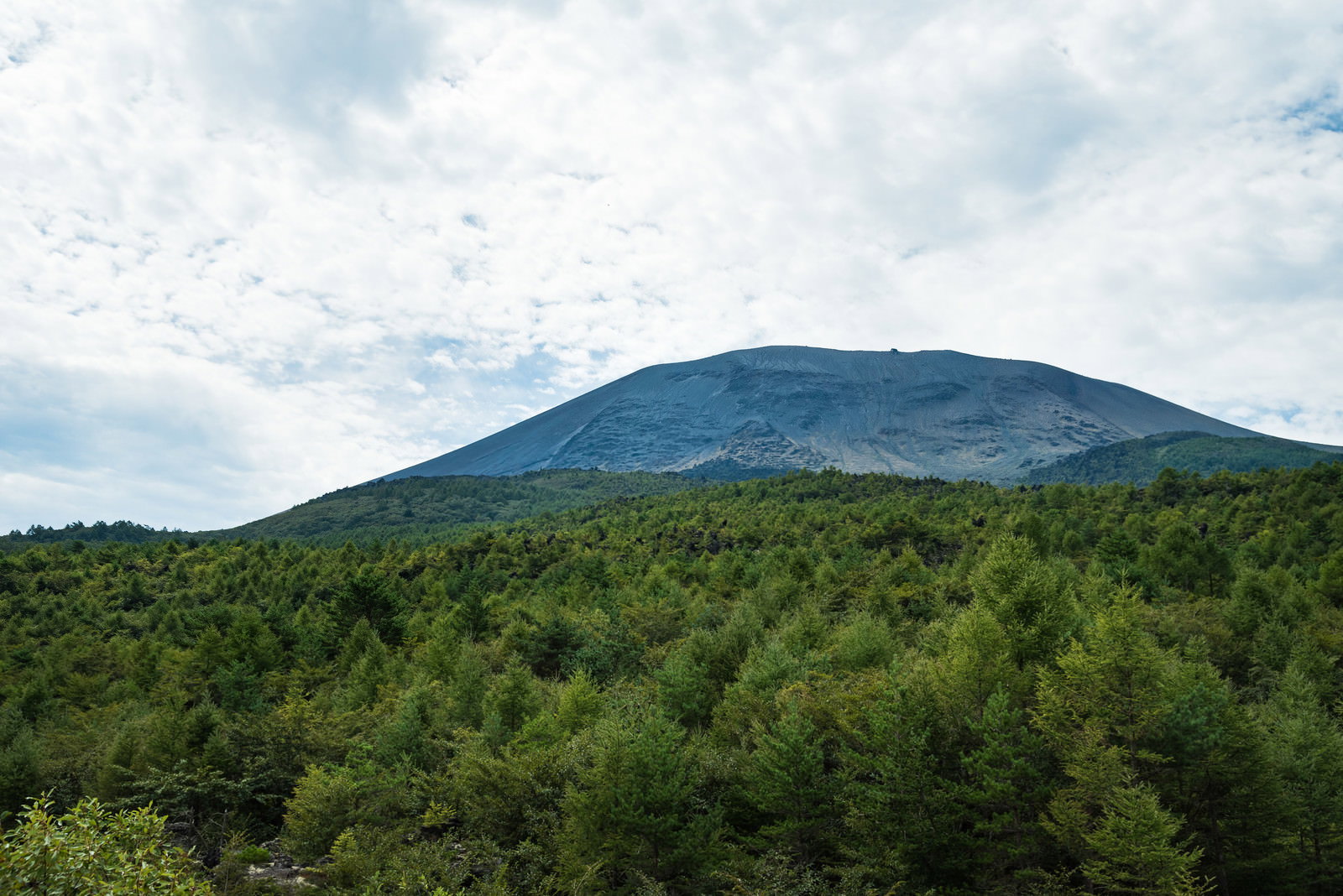 緑豊かな森の向こうに浅間山がそびえ立つ風景