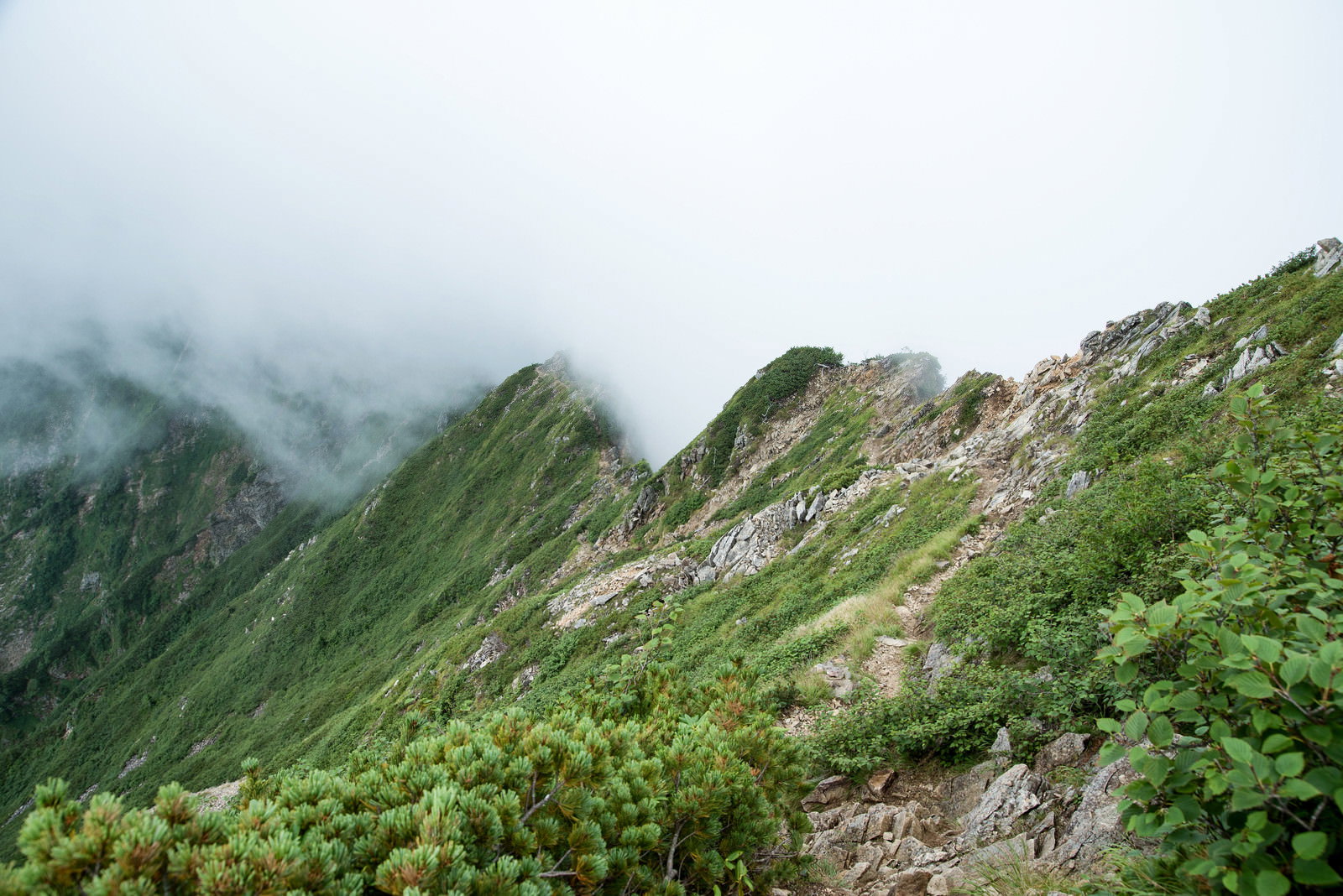 霧の中、八峰キレットの急斜面に続く登山道