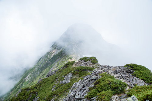 視界不良の雲の中に進む八峰キレットの登山道