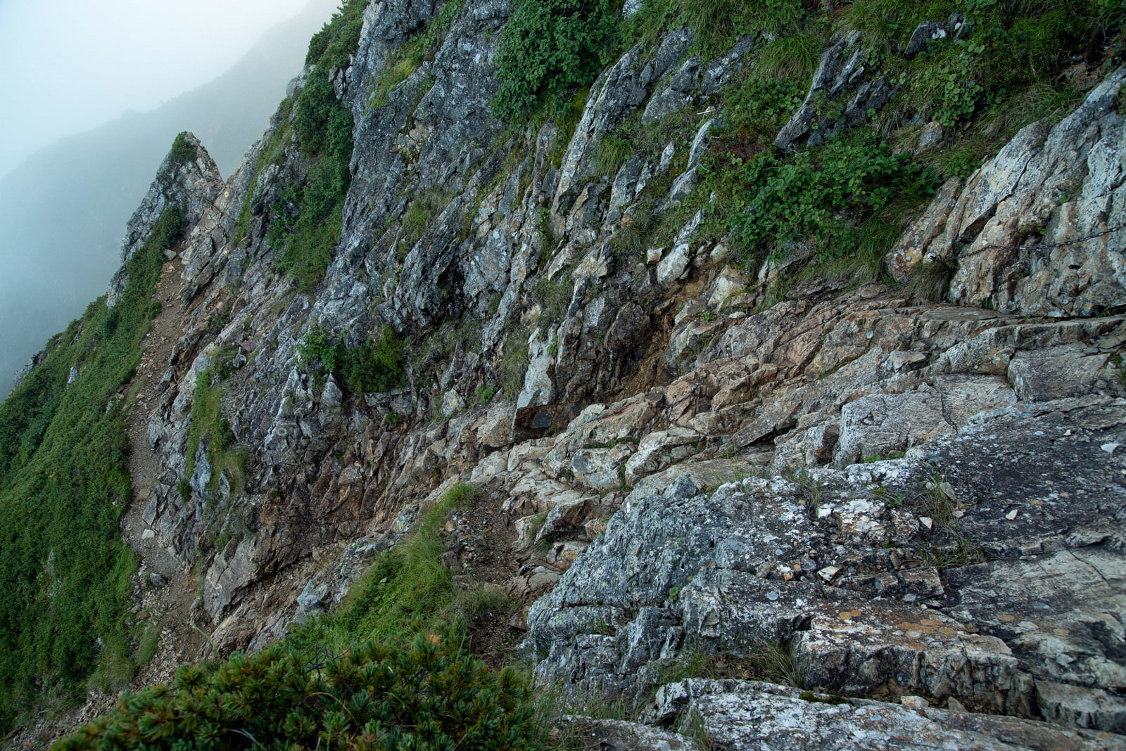 急峻な崖沿いに続く細い登山道と岩場に生える緑の植物