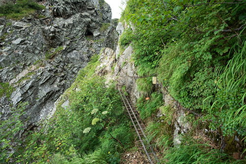 八峰キレット縦走の鎖場で鎖を覆う茂みと岩場