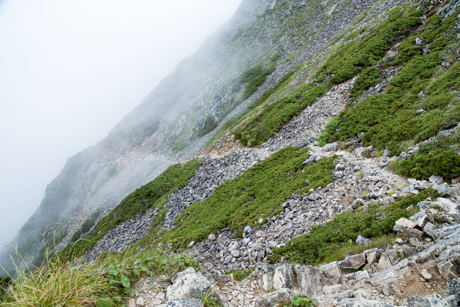 霧に包まれた険しい登山道、岩場と緑の植生が混在する山の斜面
