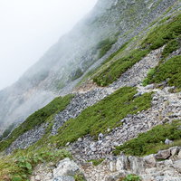 ガスに覆われた八峰キレット縦走の登山道を進む登山者の写真