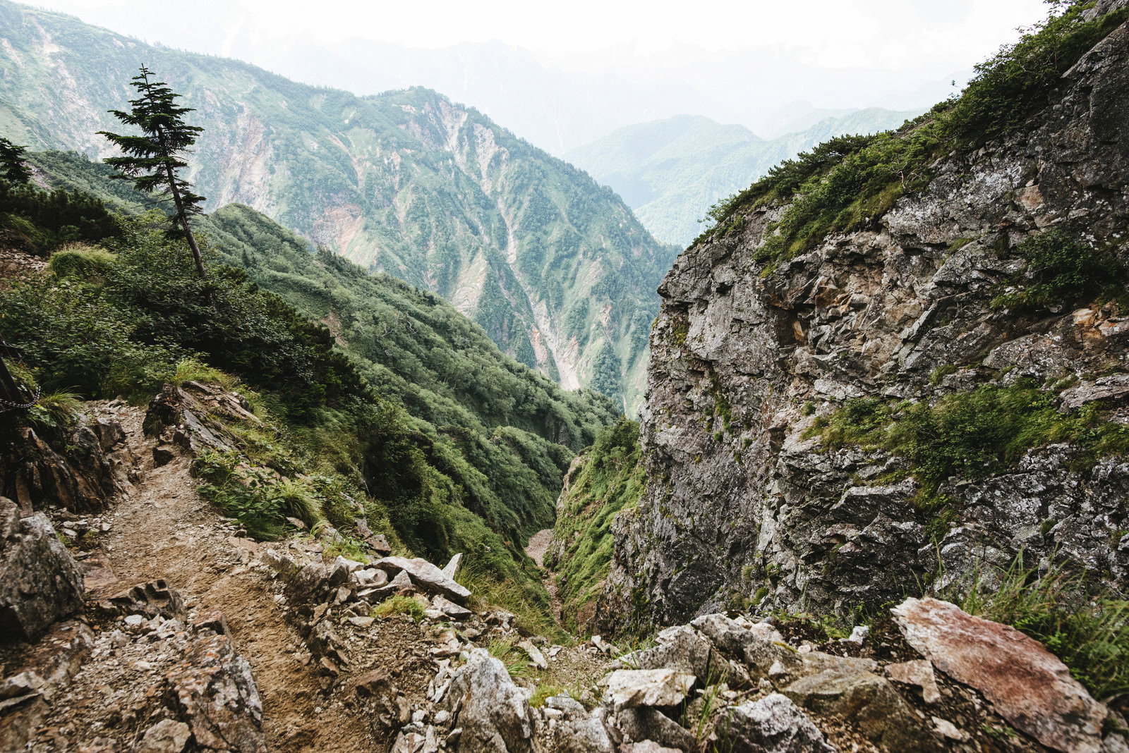 登山道から見える緑の山肌と霞んだ遠方の山々の風景