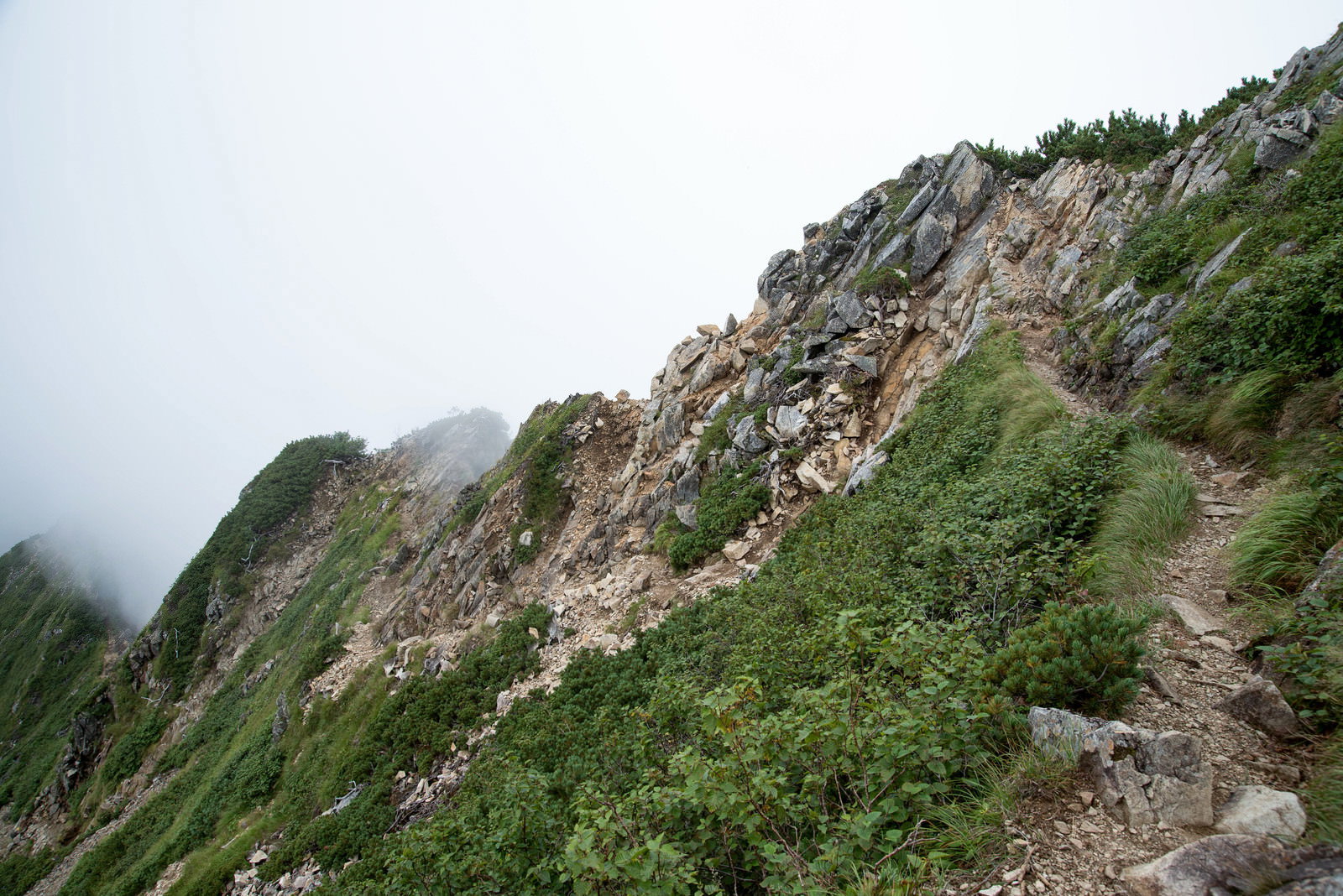 霧に包まれた岩稜帯を進む登山道、両側に茂みと岩壁が続く山岳風景