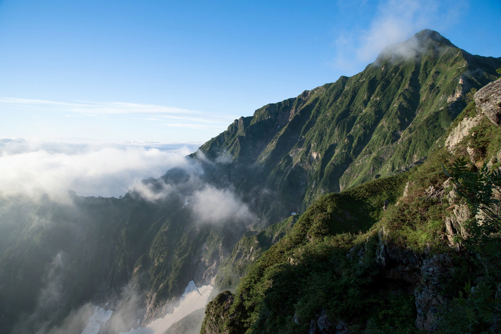 緑の山稜線と下に広がる白い雲海、青空が見える山岳風景