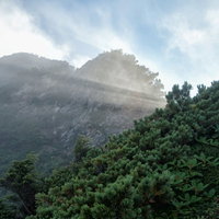 登山道から見上げた八峰キレットの岩尾根を照らす差し込む陽光の写真