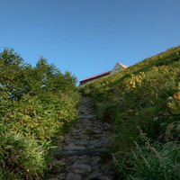 種池山荘へ続く石畳の登山道の写真