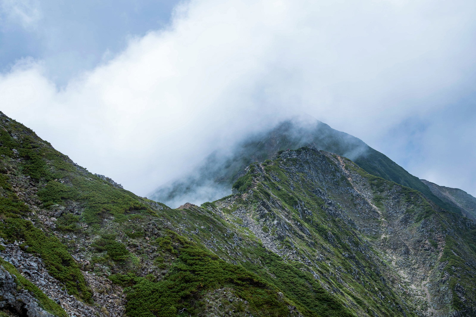 緑の山の稜線に白い雲やガスが立ち込める登山道の風景